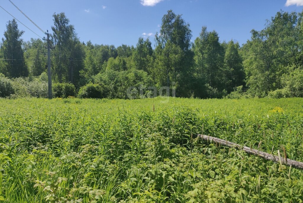 земля городской округ Дмитровский д Ваганово фото 1