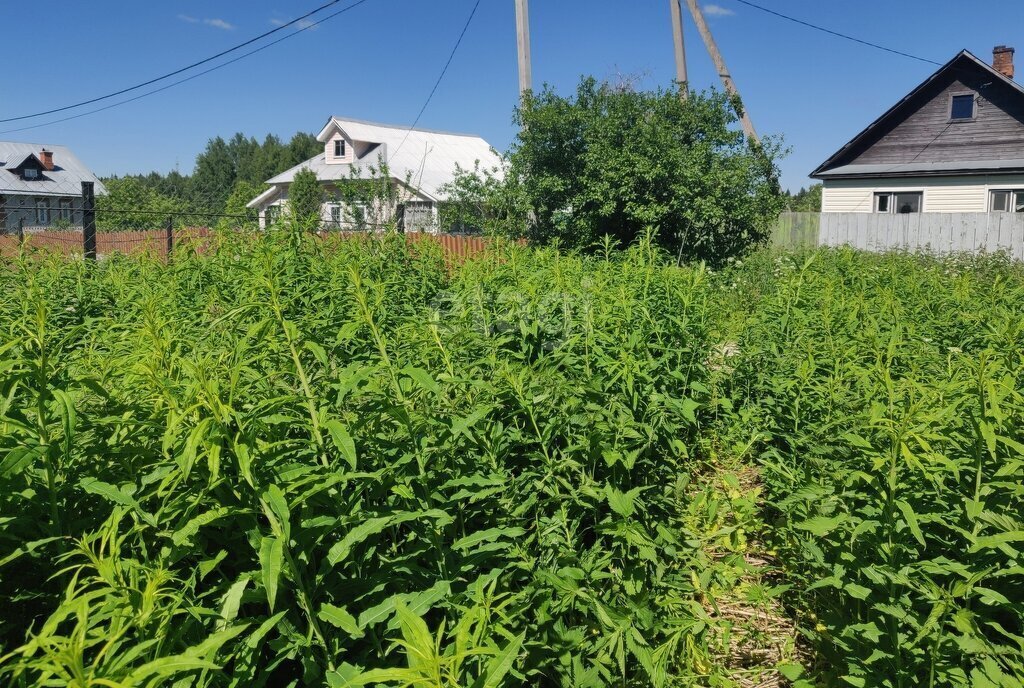 земля городской округ Дмитровский д Ваганово фото 5