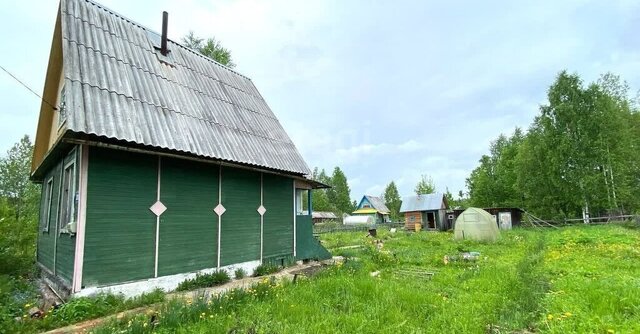 муниципальное образование Выльгорт, СТ Мелиоратор фото