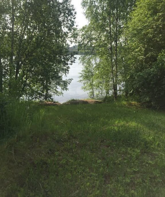 земля р-н Всеволожский д Маслово Свердловское городское поселение фото 3