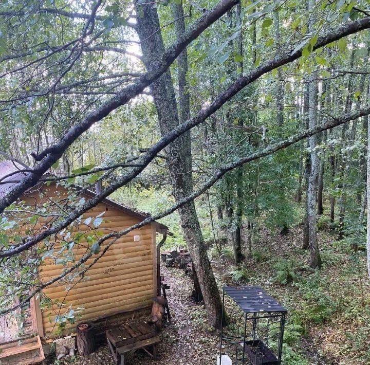 дом р-н Выборгский п Зеленая Роща Полянское с/пос, Видная горка кп, 29 фото 46