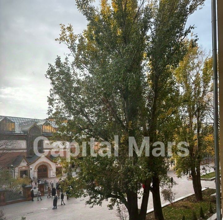 квартира г Москва метро Третьяковская пер Лаврушинский 17с/2 муниципальный округ Якиманка фото 6