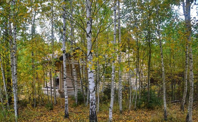 38 км, коттеджный пос. Андрейково-Лесное, 25, Дмитровское шоссе фото