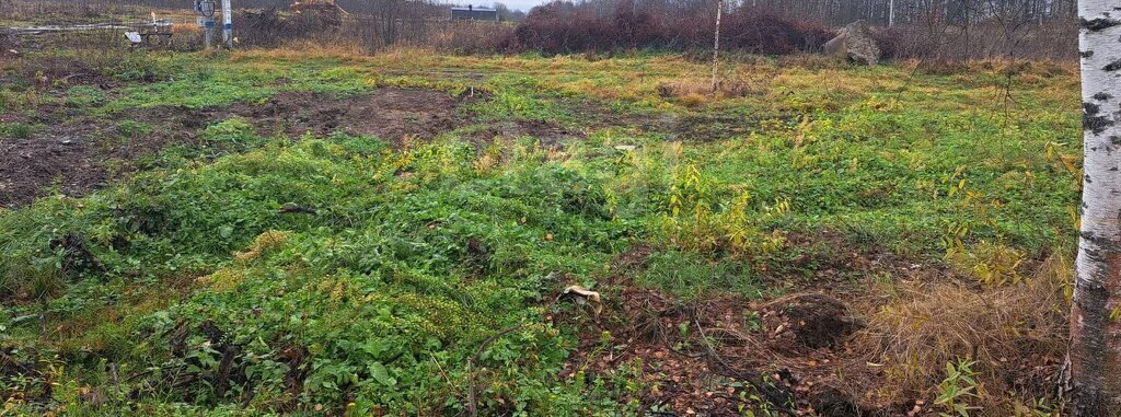 земля городской округ Дмитровский д Астрецово фото 2