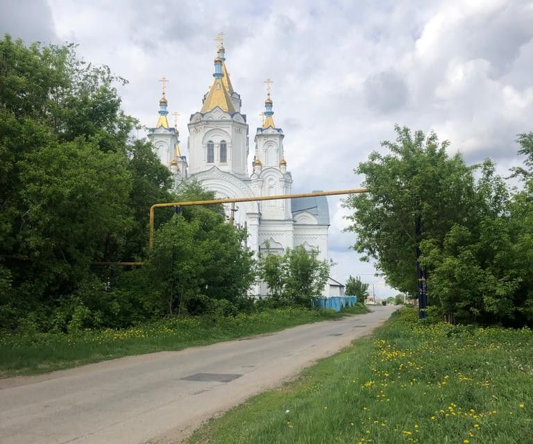 земля р-н Ставропольский с Верхнее Санчелеево ул Вечканова фото 4