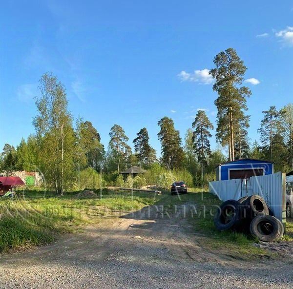 земля р-н Выборгский г Светогорск ул Лесная Светогорское городское поселение фото 10