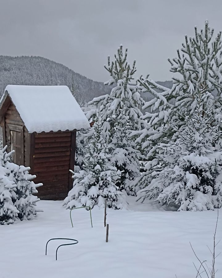 дом р-н Саткинский д Сикиязтамак Межевой фото 7