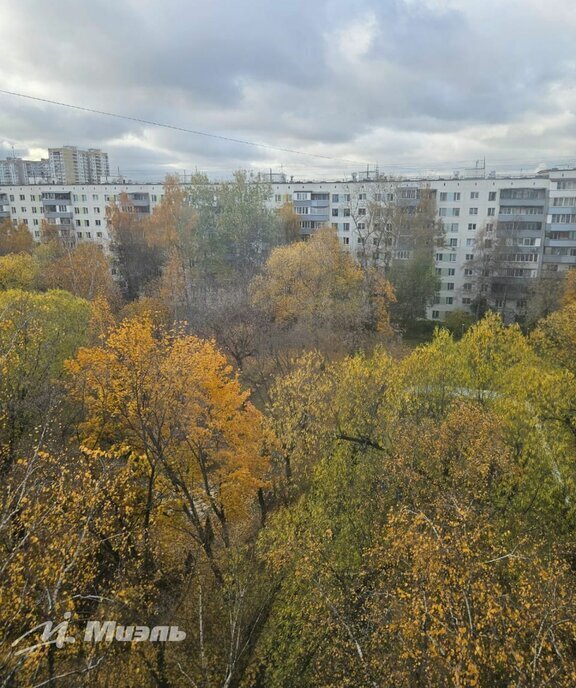 квартира г Москва метро Выхино ул Реутовская 6к/2 муниципальный округ Вешняки фото 4