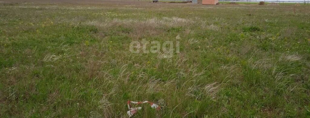 земля р-н Сакский с Крыловка Штормовское сельское поселение, Дачная улица фото 2