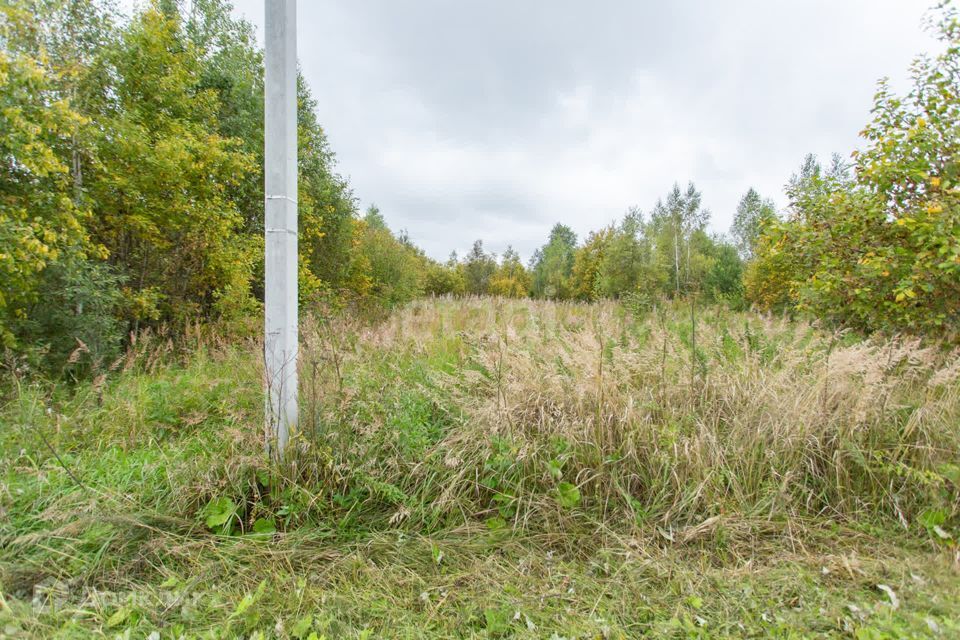 земля г Тобольск микрорайон Ершовка, городской округ Тобольск фото 2