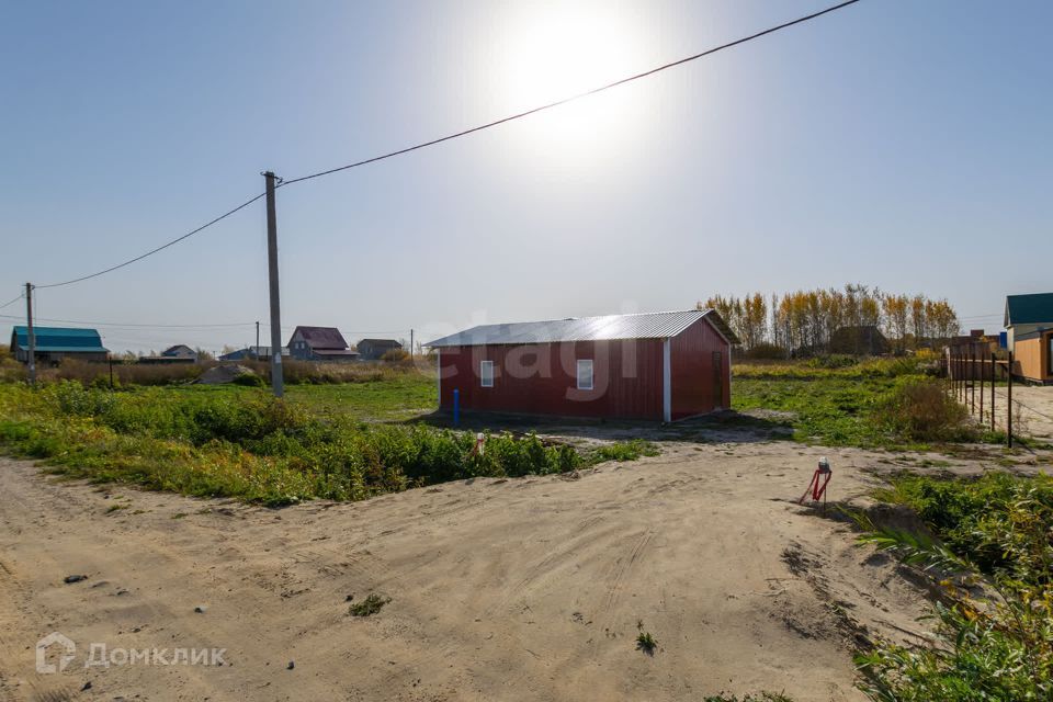 земля р-н Тюменский село Борки фото 1