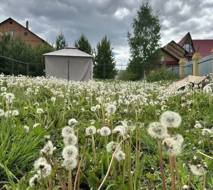 земля р-н Тюменский д Насекина ул Центральная фото 1