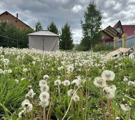 ул Центральная фото