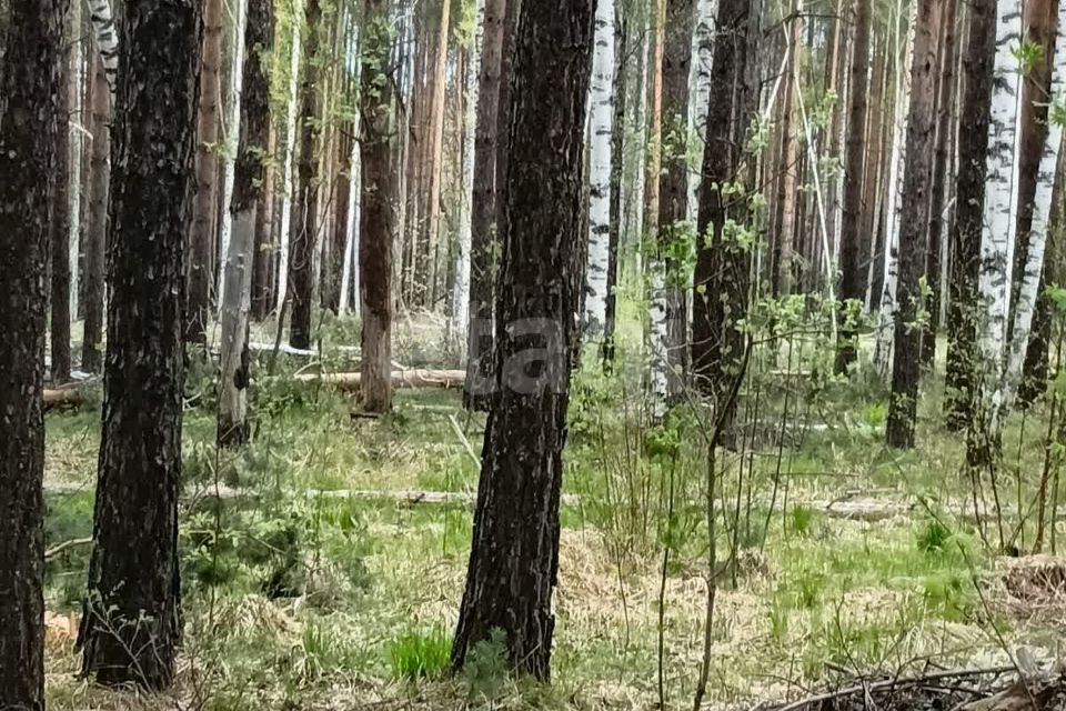 земля городской округ Ревда, село Кунгурка фото 1