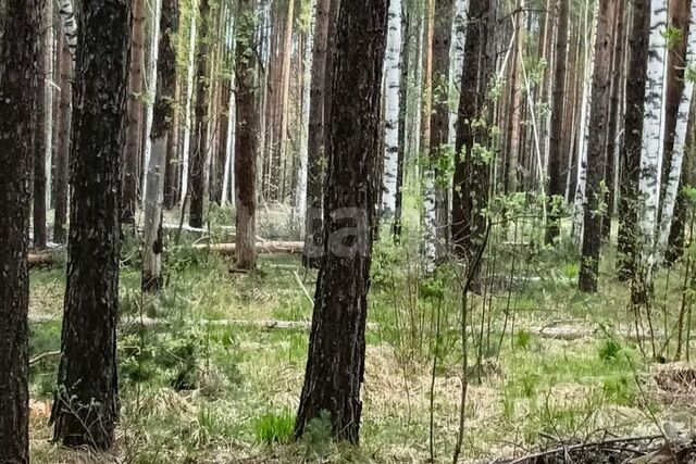 городской округ Ревда, село Кунгурка фото