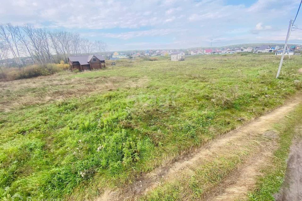 земля р-н Сосновский село Кайгородово фото 1