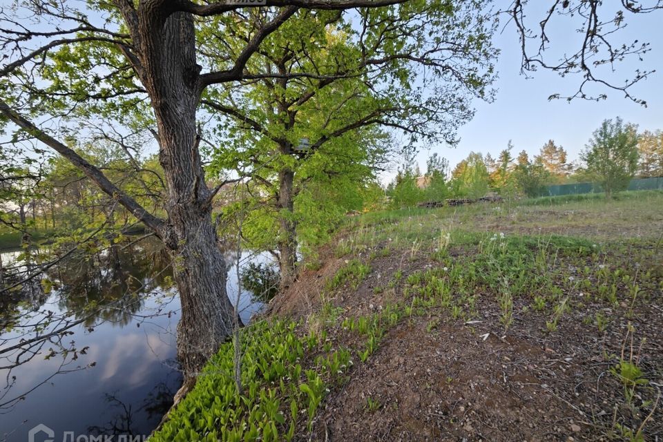 земля р-н Новгородский деревня Чайка фото 1