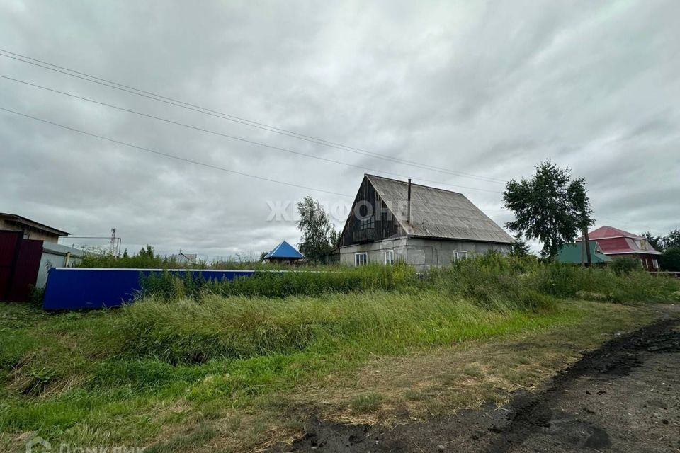 дом р-н Барабинский г Барабинск ул Каинская городское поселение Барабинск фото 1