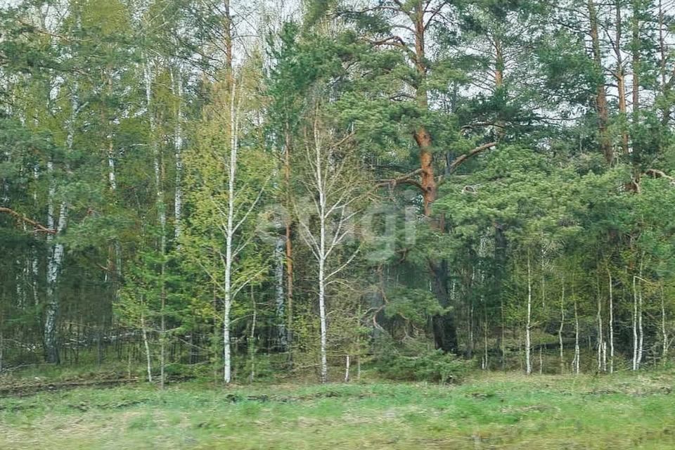 земля г Екатеринбург р-н Чкаловский Екатеринбург городской округ, Чкаловский фото 2