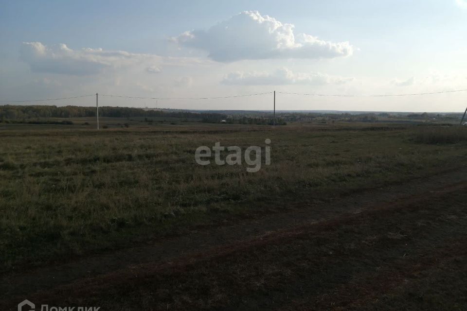 земля р-н Камышловский село Галкинское фото 4