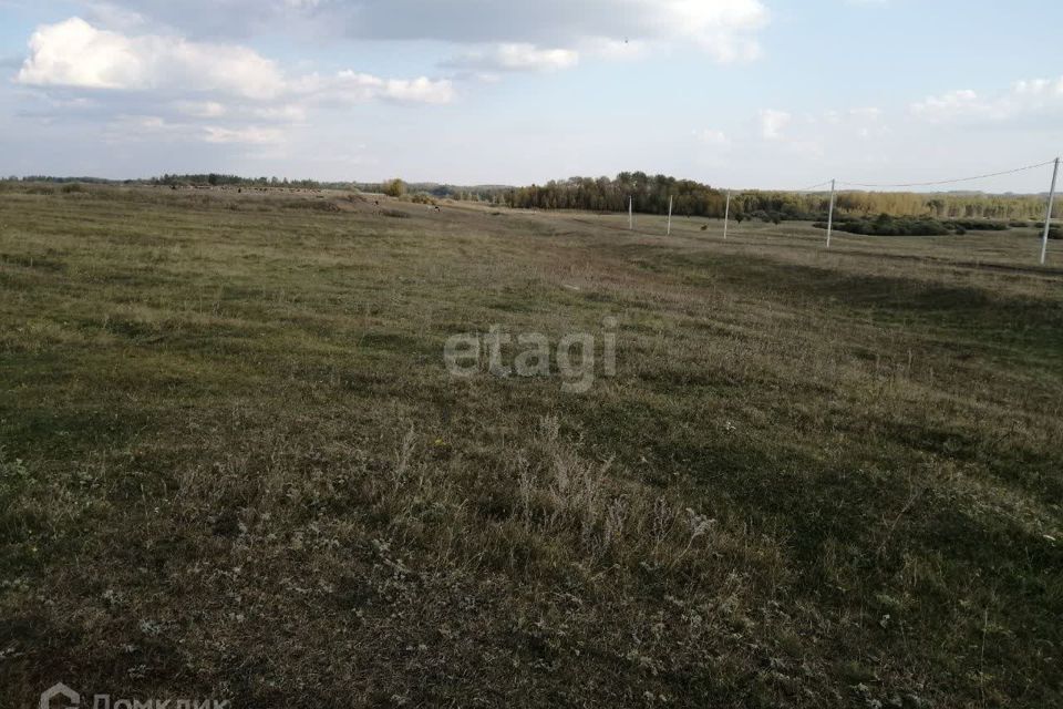 земля р-н Камышловский село Галкинское фото 2