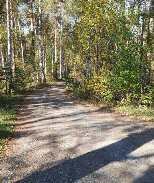 земля г Верхняя Пышма снт 111 городской округ Верхняя Пышма, 33 фото 2