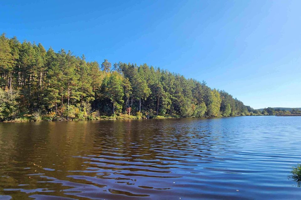 земля р-н Сысертский село Кадниково фото 4