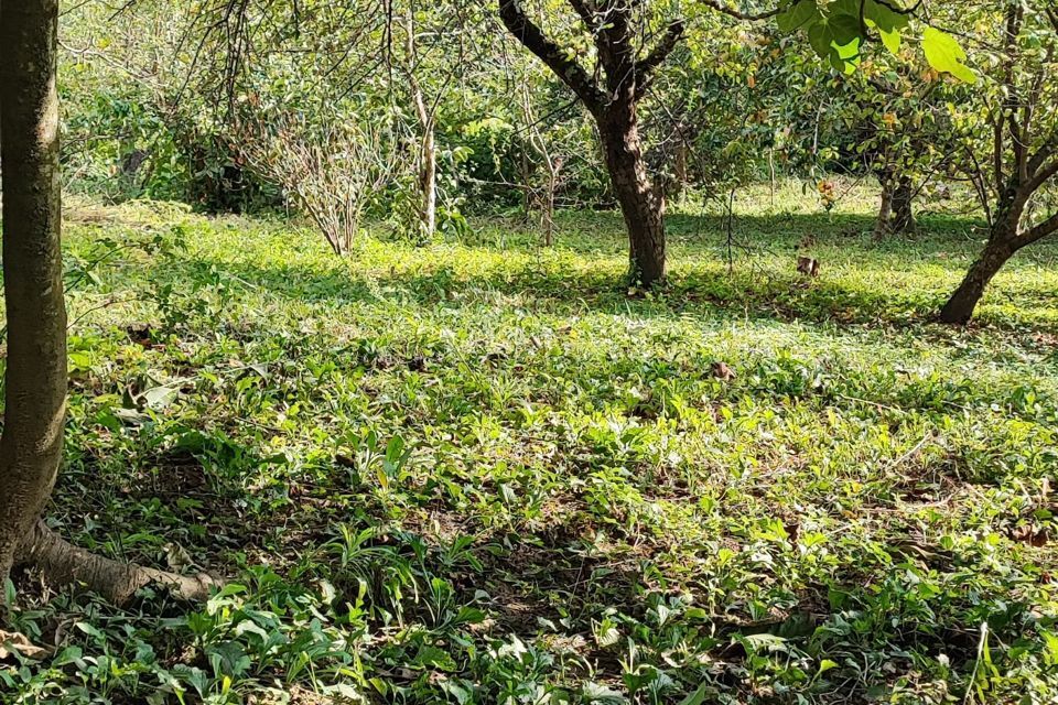 земля г Сочи с Верхнениколаевское ул Николаевская 34 городской округ Сочи фото 7