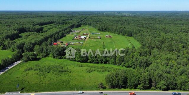 муниципальное образование Головинское, дп. Медовая поляна фото