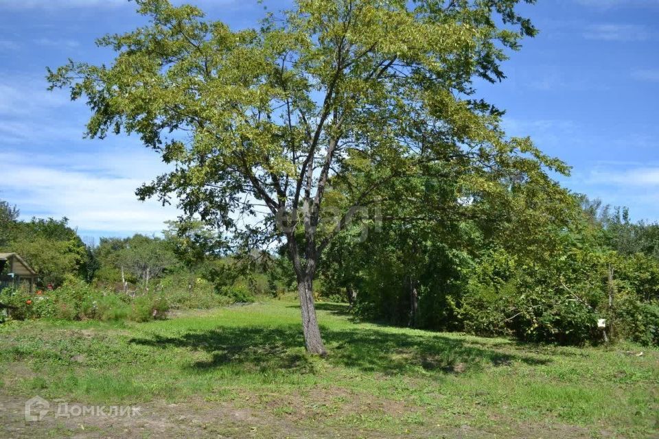 земля г Артем с Кролевцы ул Краснознаменная 2 Артёмовский городской округ фото 6