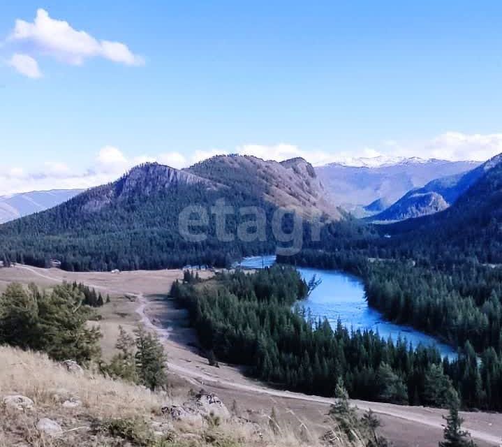 земля р-н Кош-Агачский село Беляши фото 5