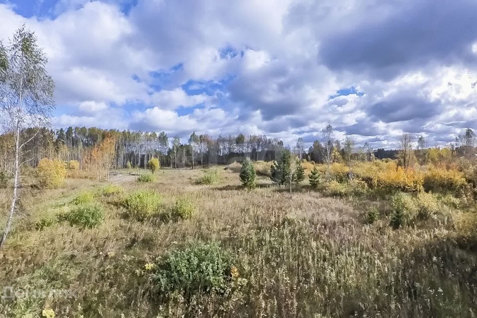 земля р-н Нижнетавдинский с Тюнево ул Полевая фото 10