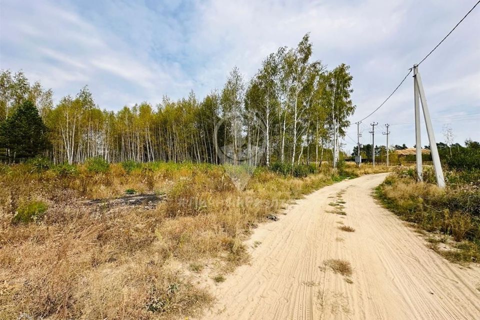 земля Дубровическое сельское поселение, село Дубровичи фото 7