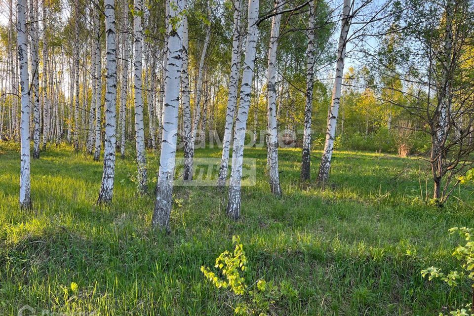 земля р-н Рязанский с Дубровичи коттеджный посёлок Дубровка фото 7