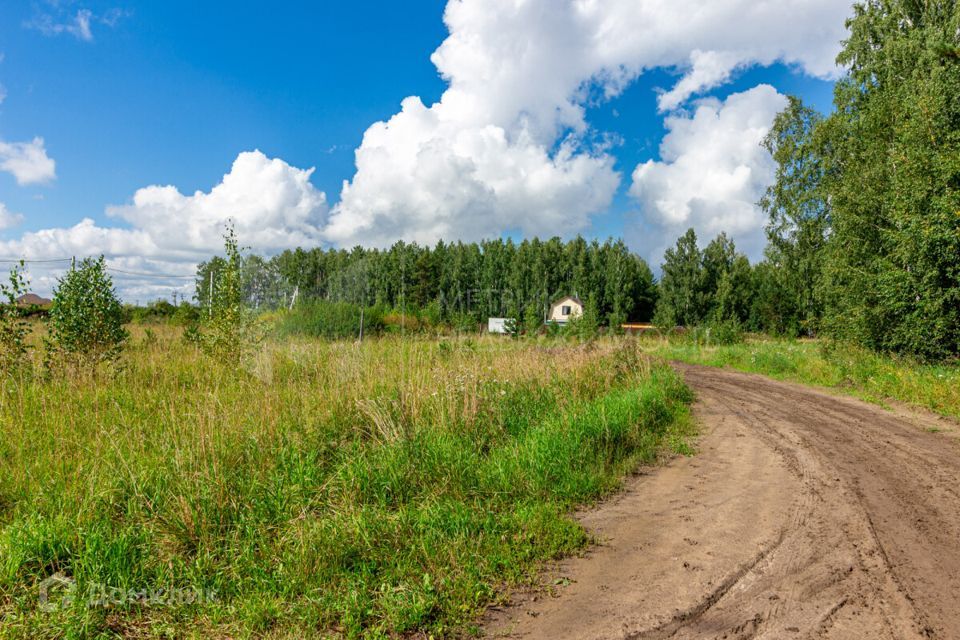 земля р-н Тюменский деревня Большие Акияры фото 6