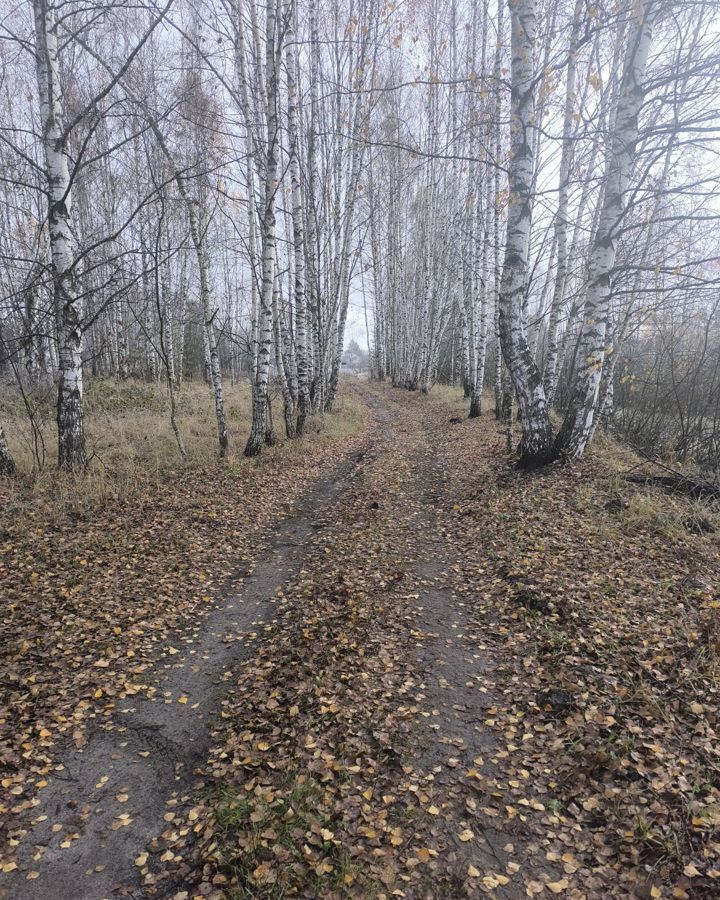 земля городской округ Орехово-Зуевский садовое товарищество Три Сестры, Орехово-Зуево фото 6