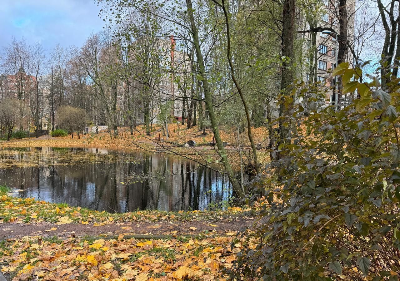 квартира г Санкт-Петербург метро Удельная пр-кт Тореза 100 округ Светлановское фото 16