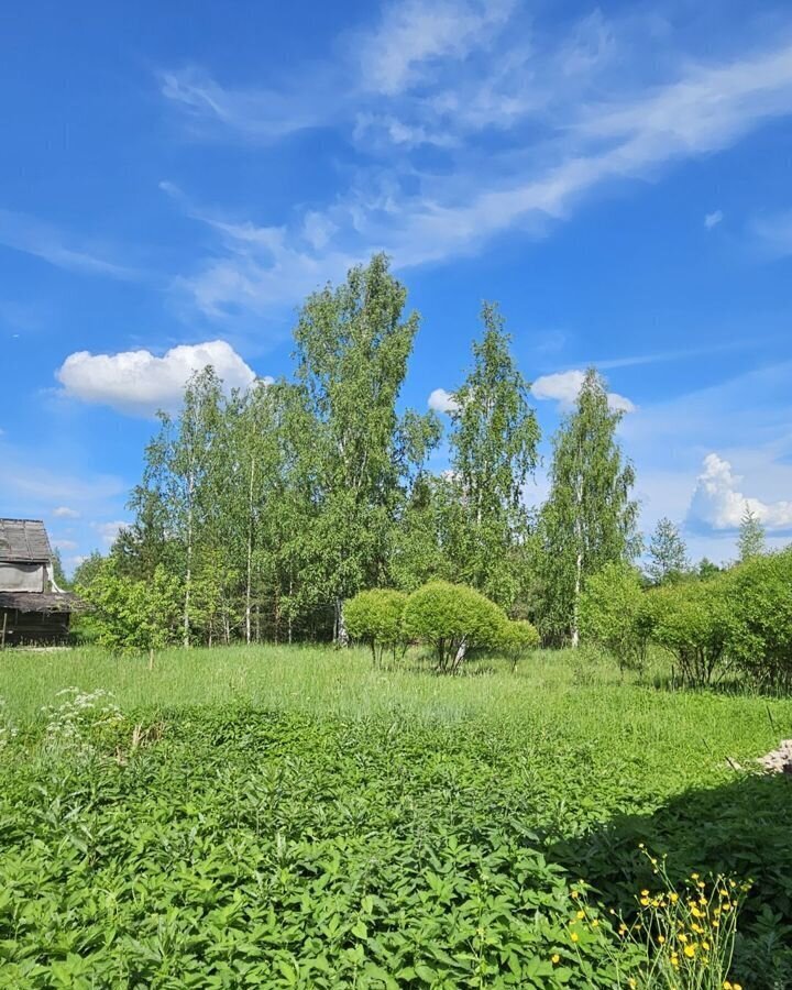 земля р-н Тосненский г Любань ул Круговая Московское шоссе, 73 км, Любанское городское поселение, массив Агротехника, участок Пойма реки Тигода № 2 фото 1