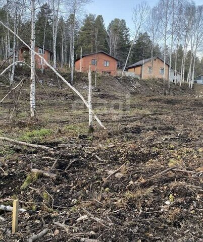 днт Кристалл пр-д Березовый Марковское городское поселение фото