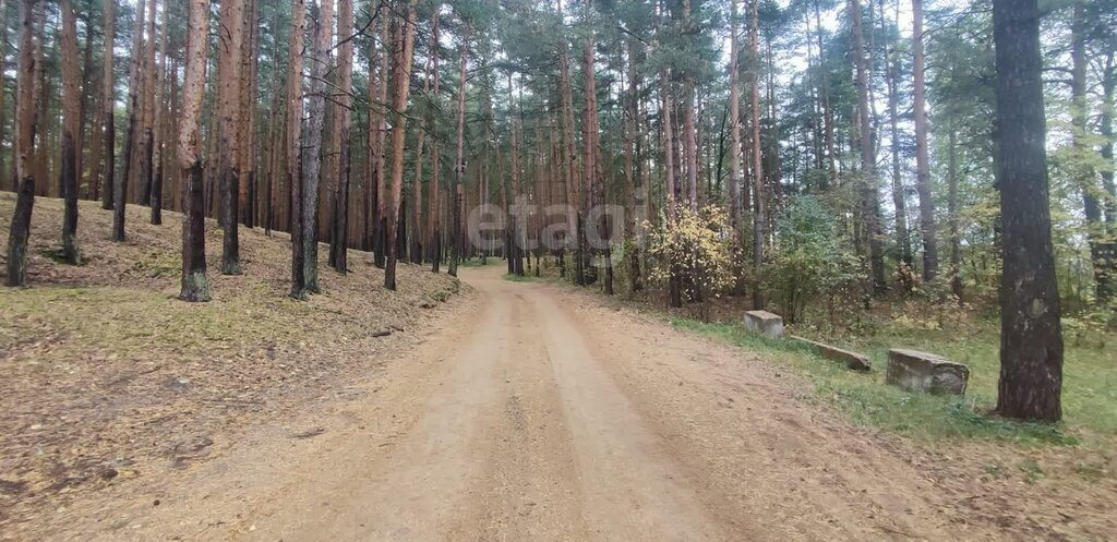 дом р-н Ярославский снт Заволжье Заволжское сельское поселение фото 16