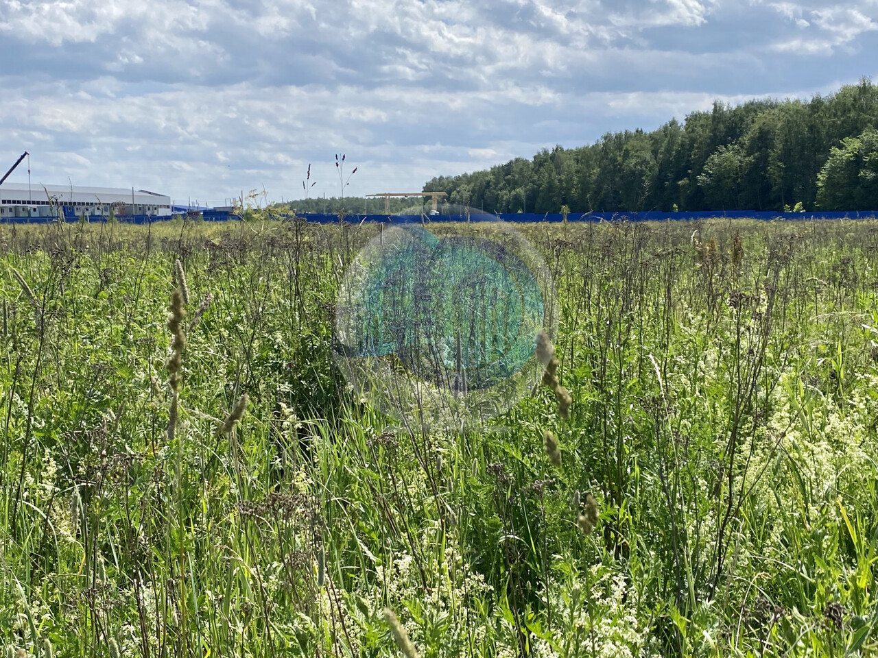 земля городской округ Домодедово д Шишкино фото 10