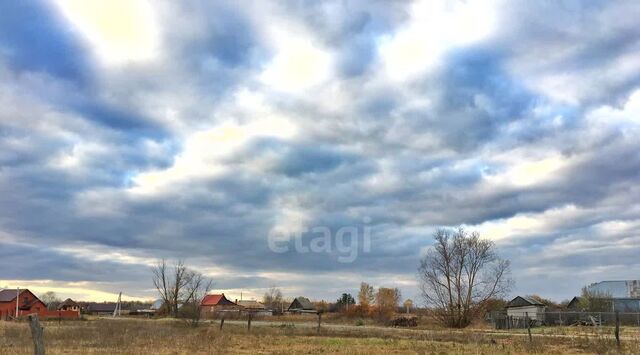 с Кузьмино-Гать ул Молодежная фото