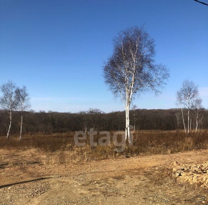 земля р-н Надеждинский п Тавричанка снт тер.Аргус ул 33-я Западная фото 1