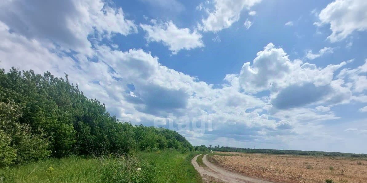 земля г Воронеж р-н Советский ул Тенистая фото 4