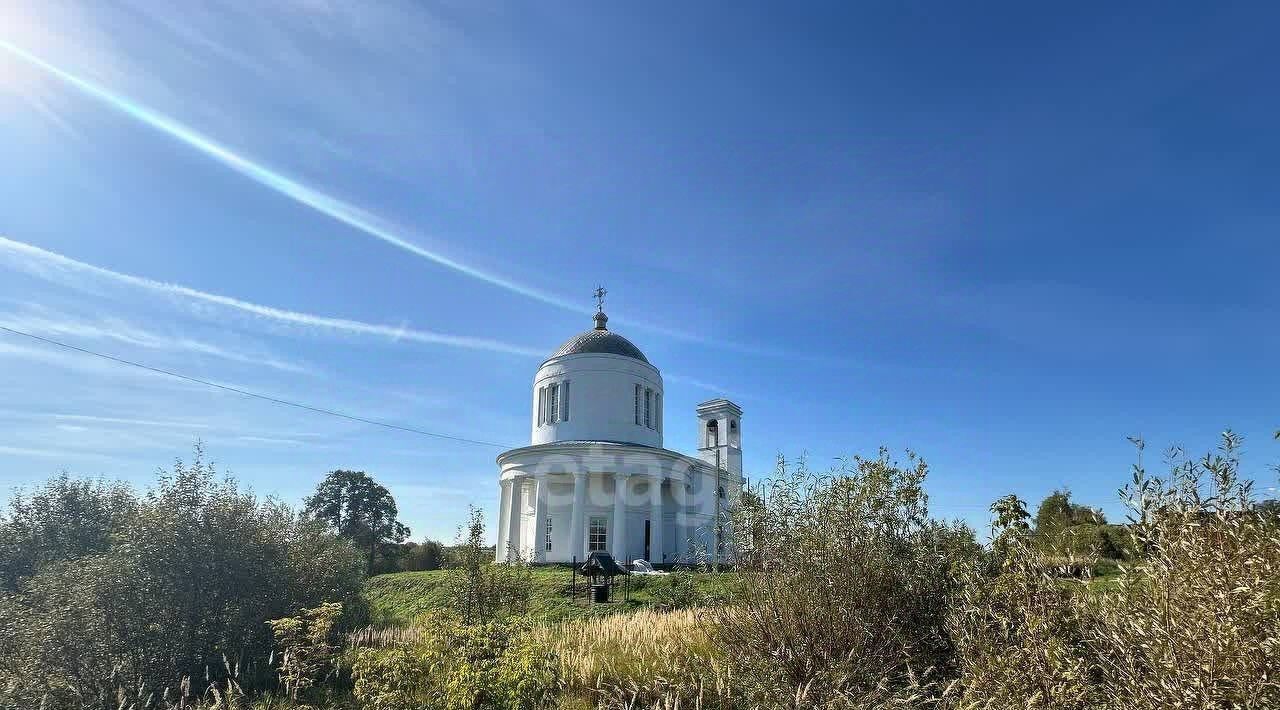 земля р-н Дальнеконстантиновский с Борисово-Покровское фото 8