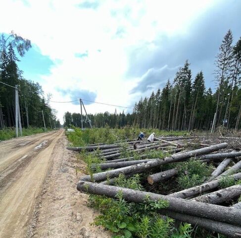 земля днп Озерная долина Сертоловское городское поселение, ДНП, Беговая, 13 фото