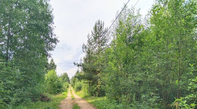 снт Мишкино линия 13-я 1 Мгинское городское поселение, Славянка садовое товарищество фото