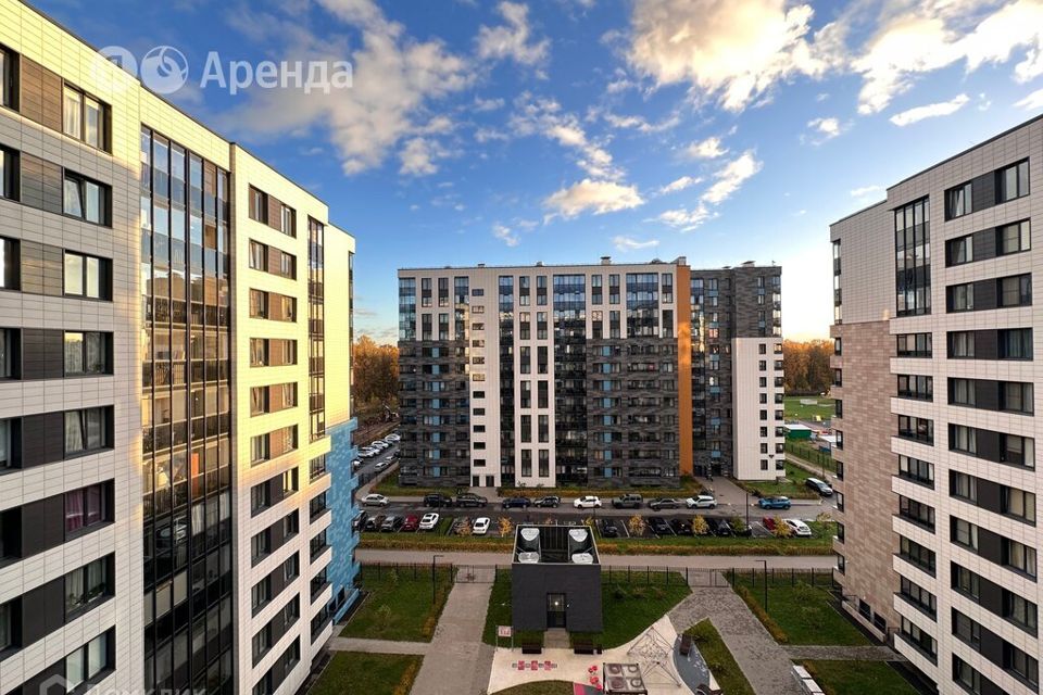 квартира г Санкт-Петербург дор Торфяная 17/4 ЖК «ArtLine в Приморском» Приморский район фото 9