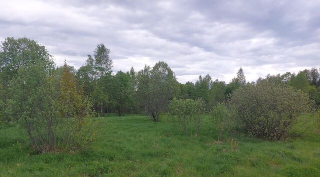 д Новоалександровка фото