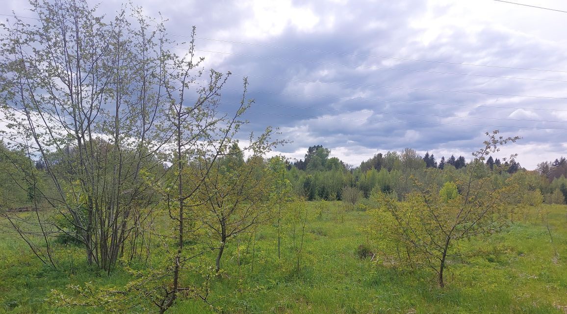 офис городской округ Наро-Фоминский г Верея фото 3